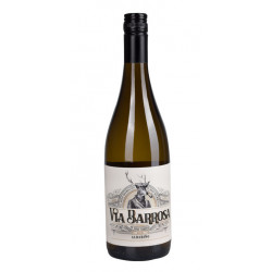 Comprar Vino Blanco Via Barrosa Albariño - Vinopremier