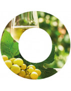 Vino Blanco - Comprar Vino Blanco online